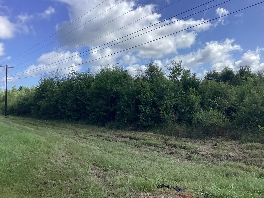 Picture 23