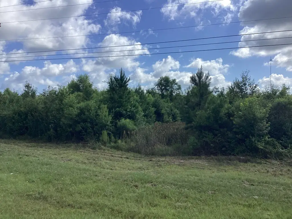 Picture 31