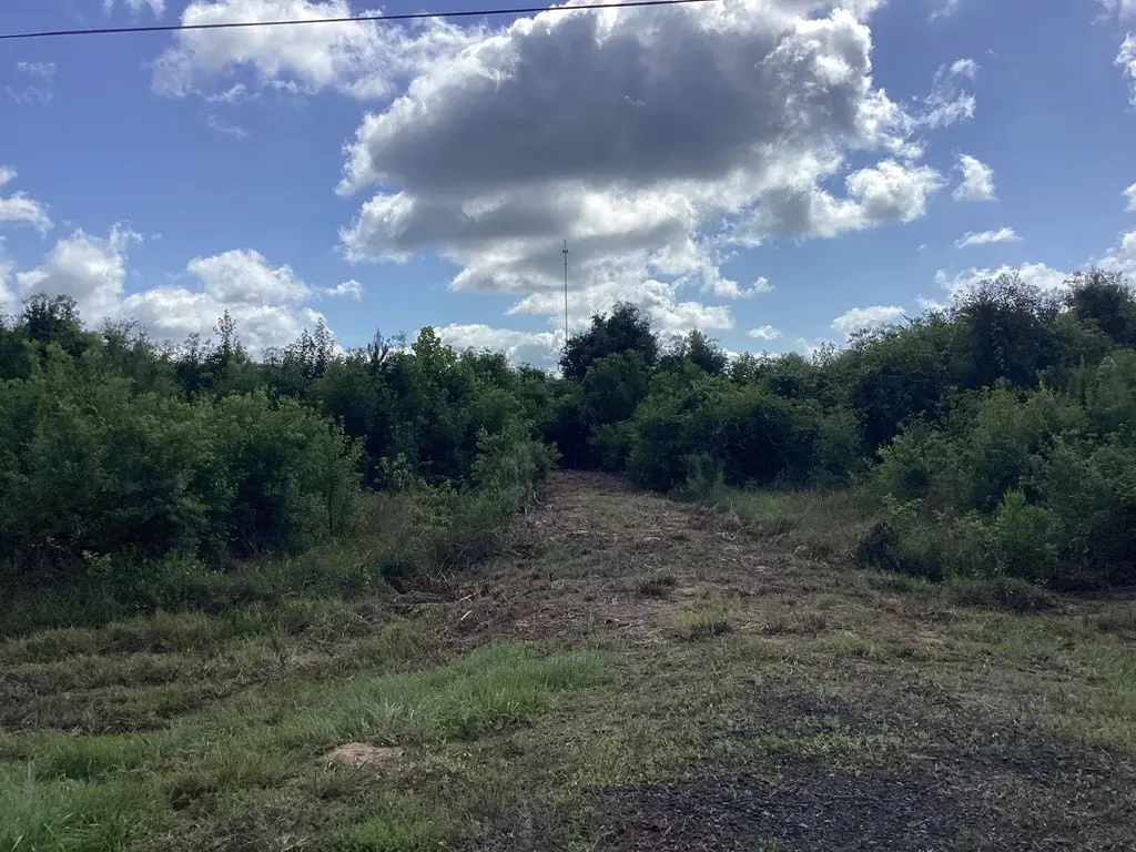 Picture 22