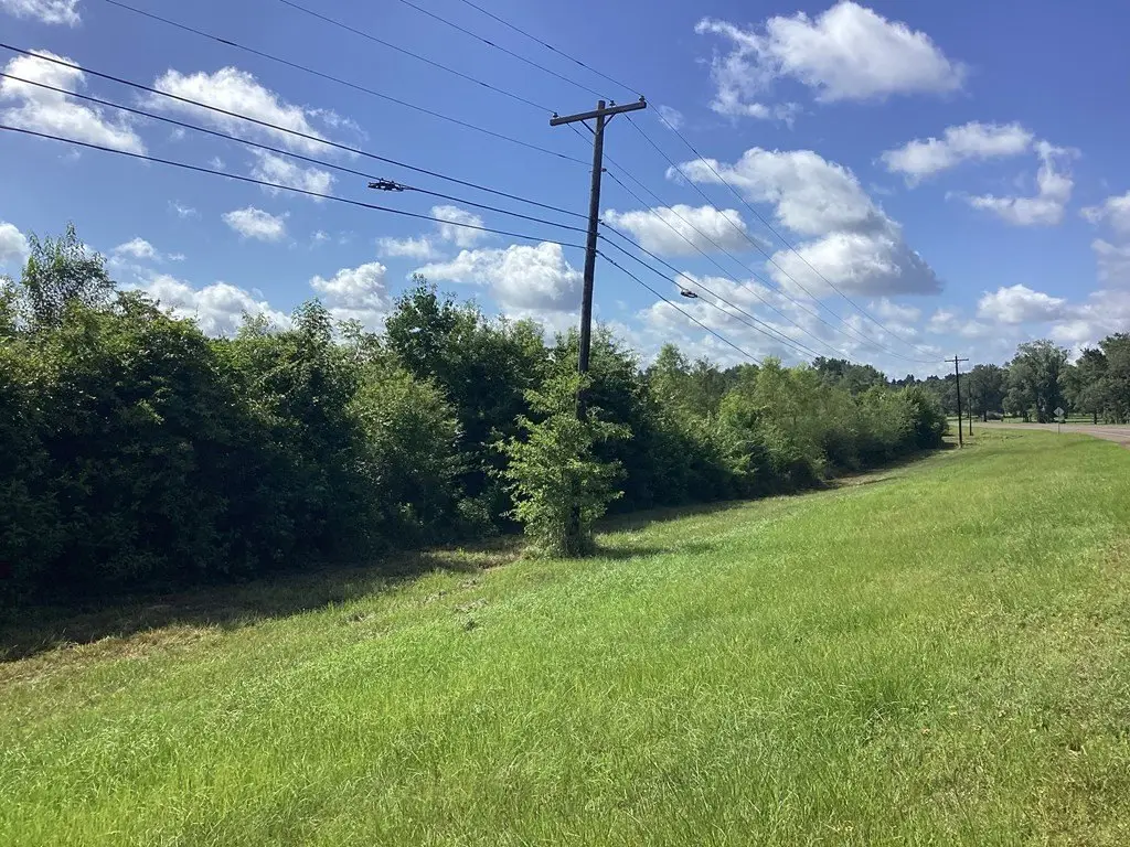 Picture 25