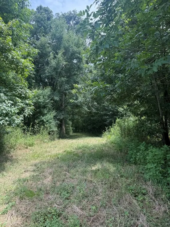 Picture 21