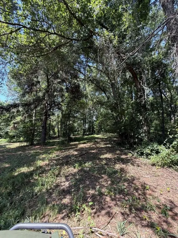 Picture 28