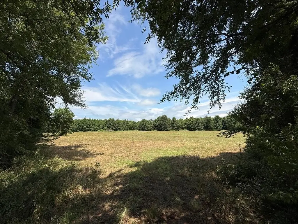 Picture 24