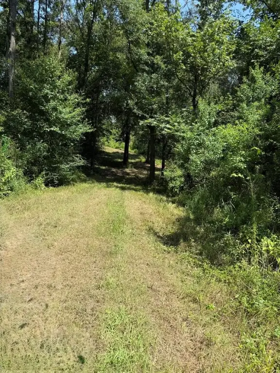 Picture 44