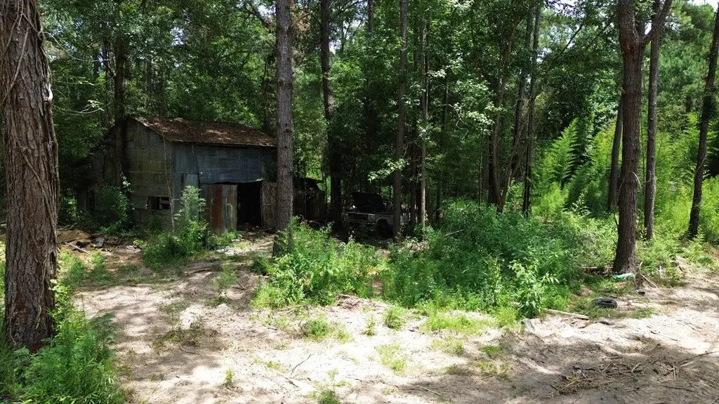 Picture 6
