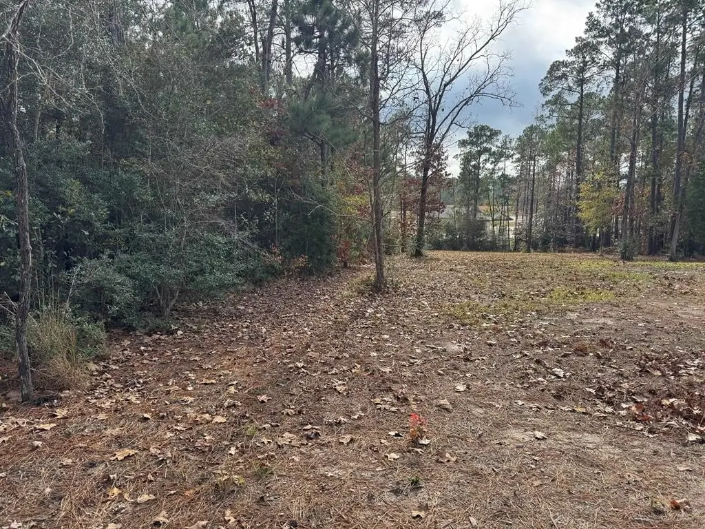 Picture 6