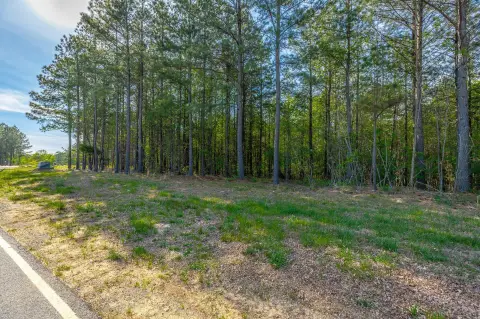 Residential Lot in Jasper Highlands