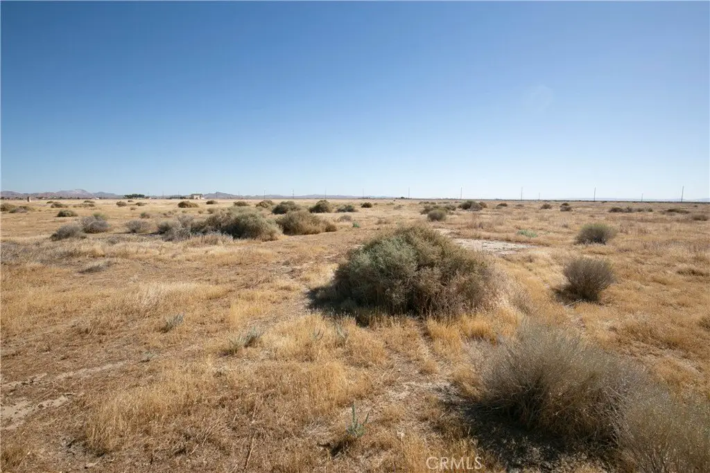 Picture 8