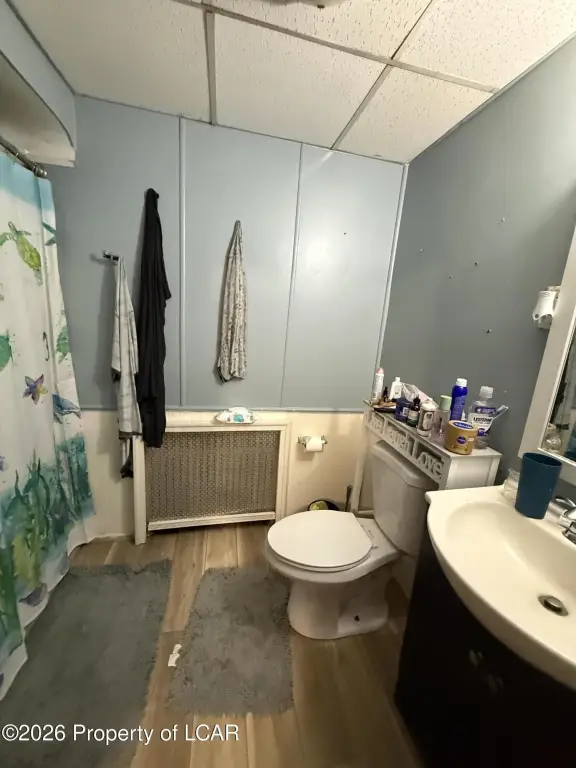 Picture 8