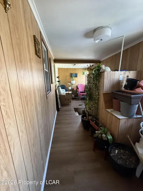 Picture 23