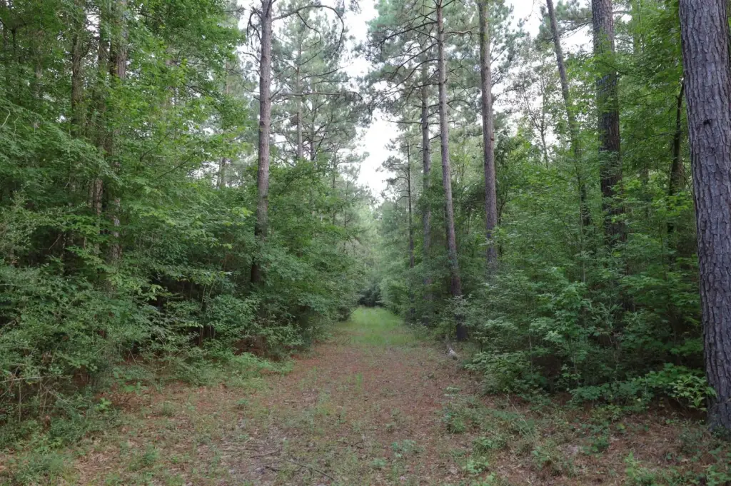 Picture 23