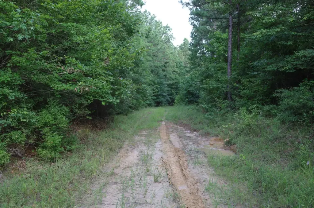 Picture 17
