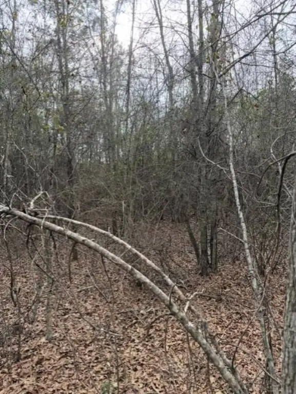 Picture 21