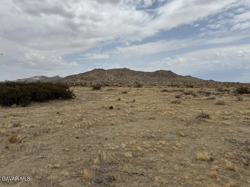 Picture 44
