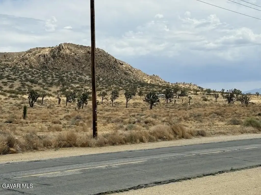 Picture 11