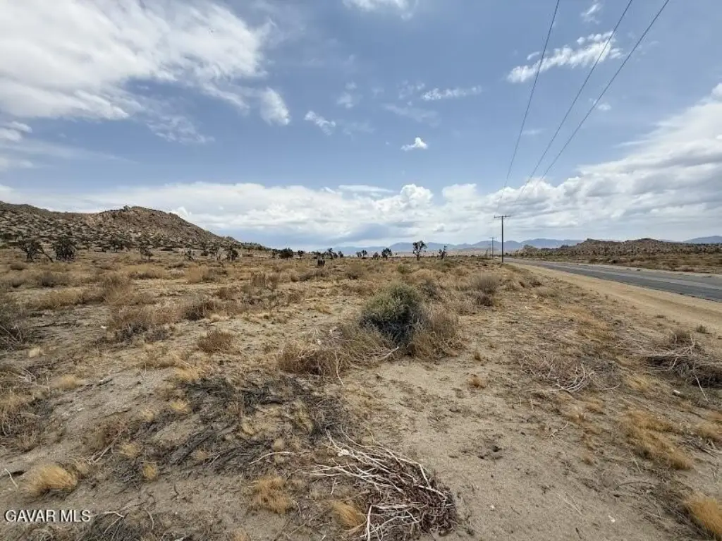 Picture 15