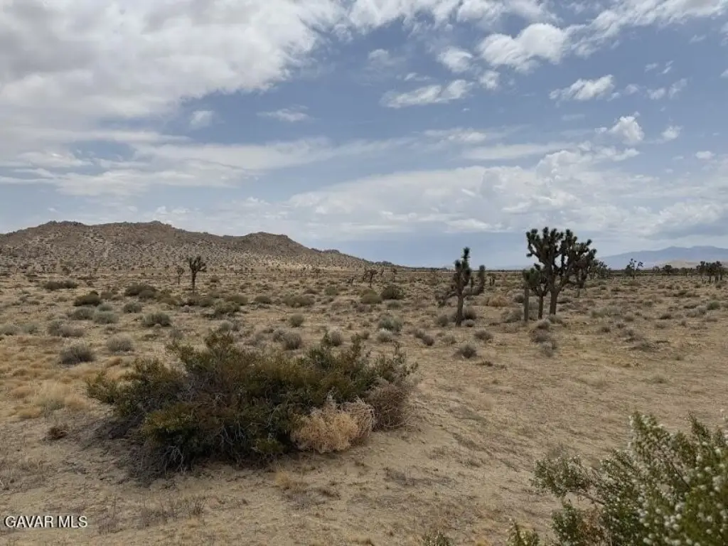 Picture 52