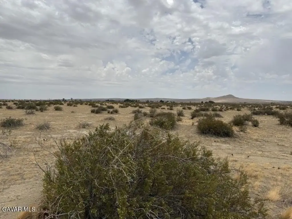 Picture 43