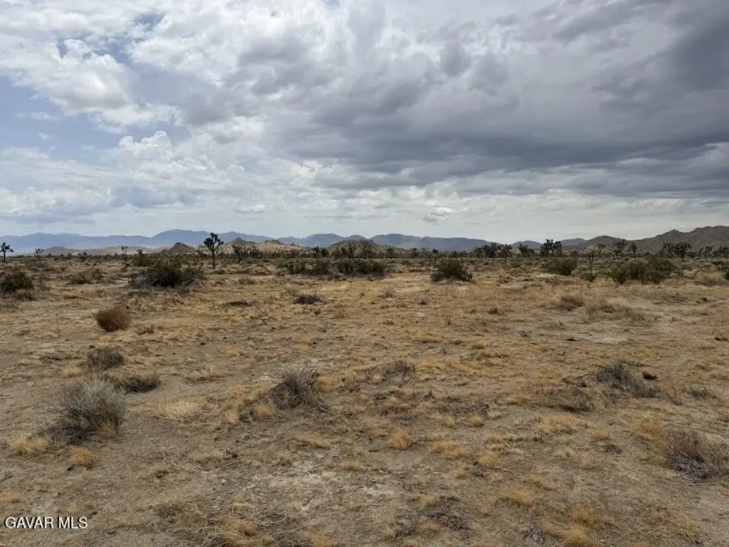 Picture 45