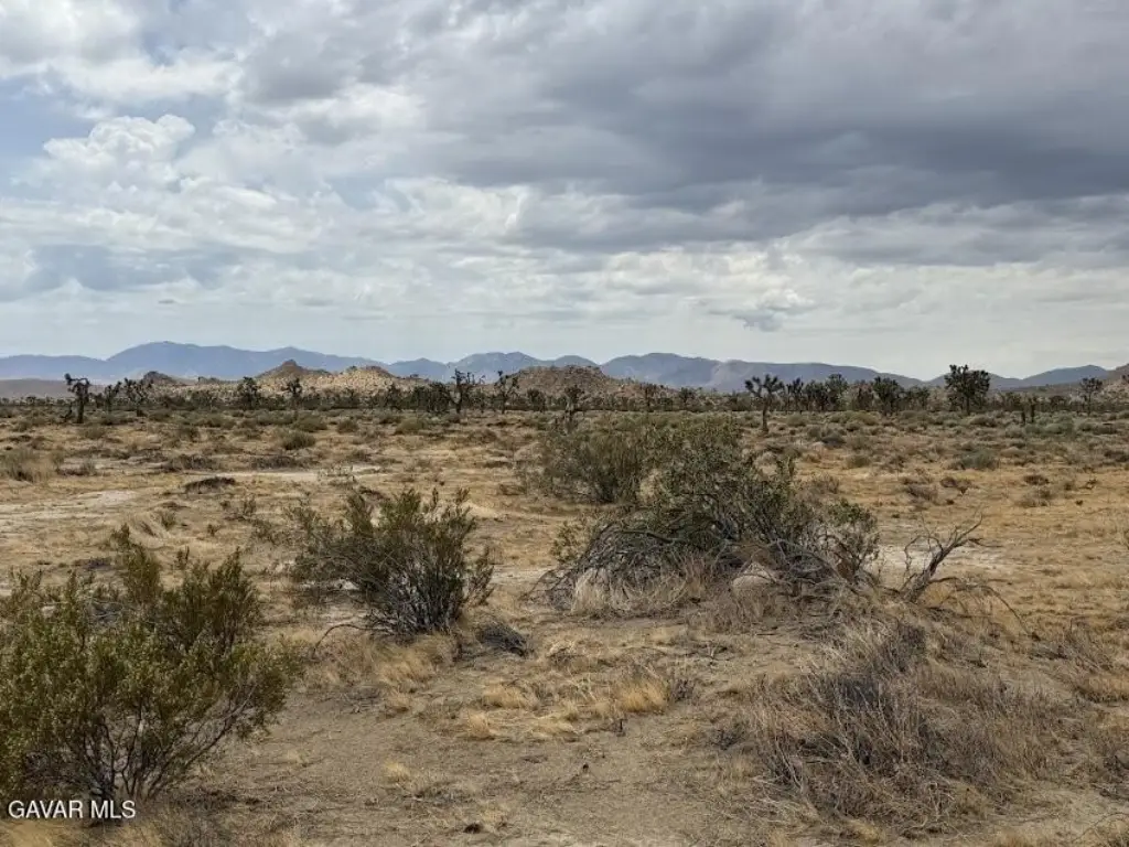 Picture 46