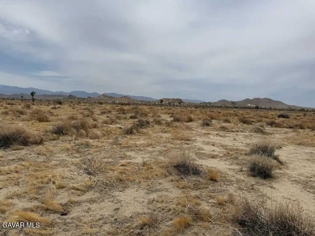 Picture 28