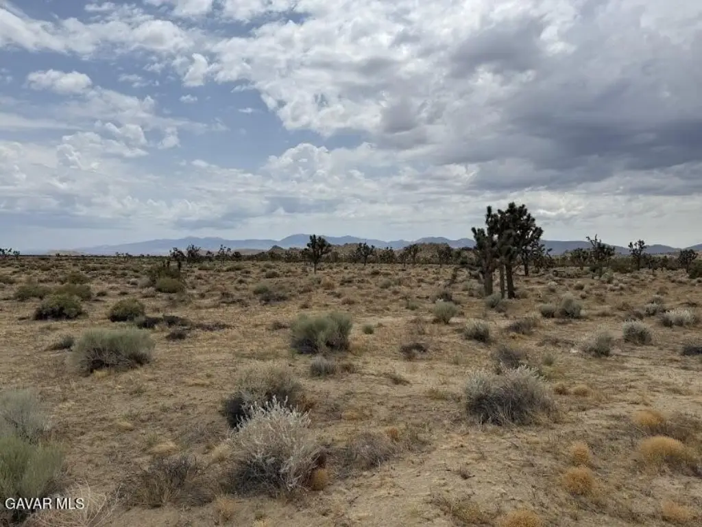 Picture 50