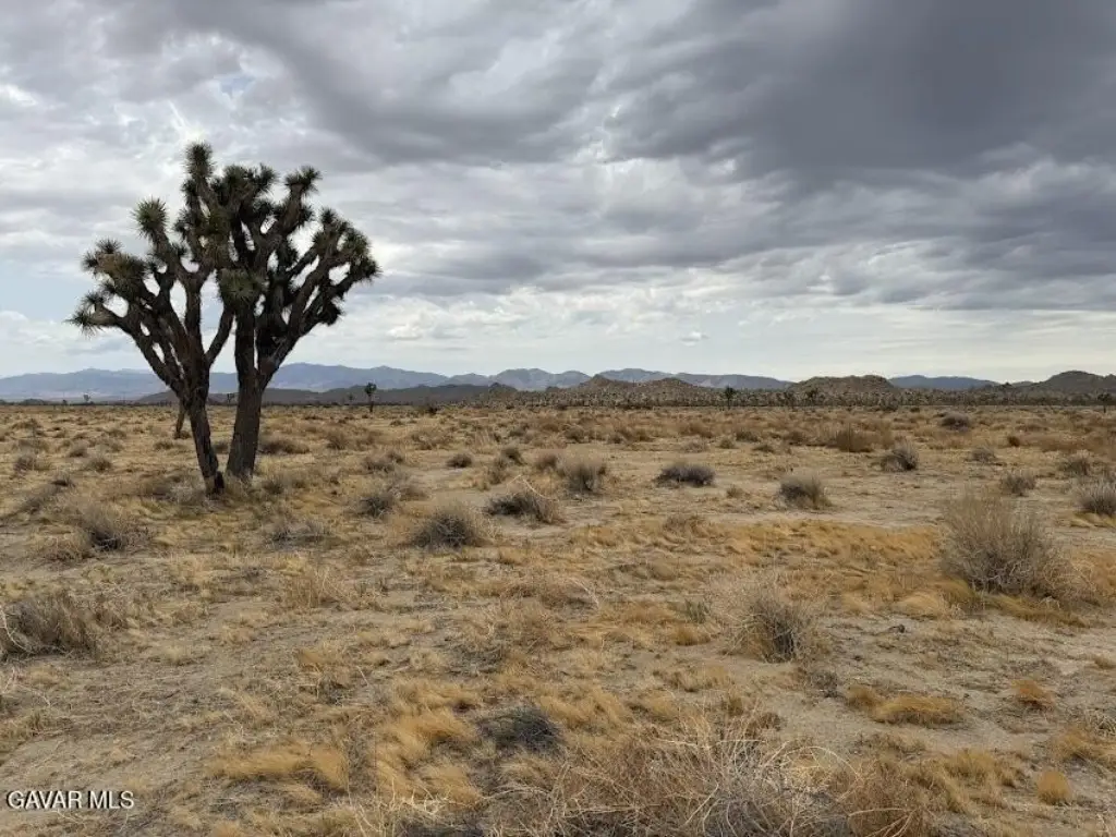 Picture 35