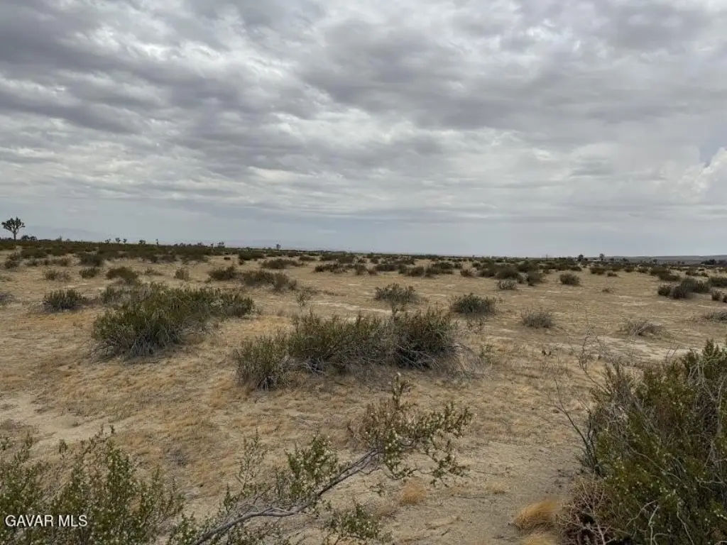 Picture 42
