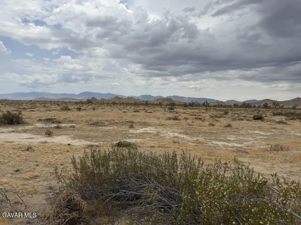 Picture 39