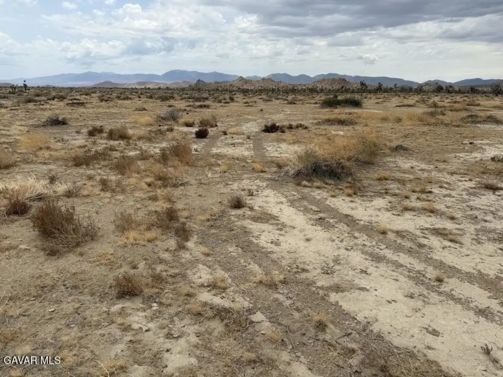 Picture 38