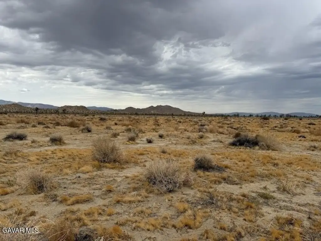 Picture 36