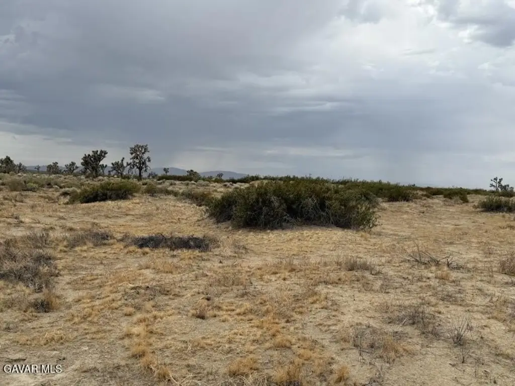 Picture 48