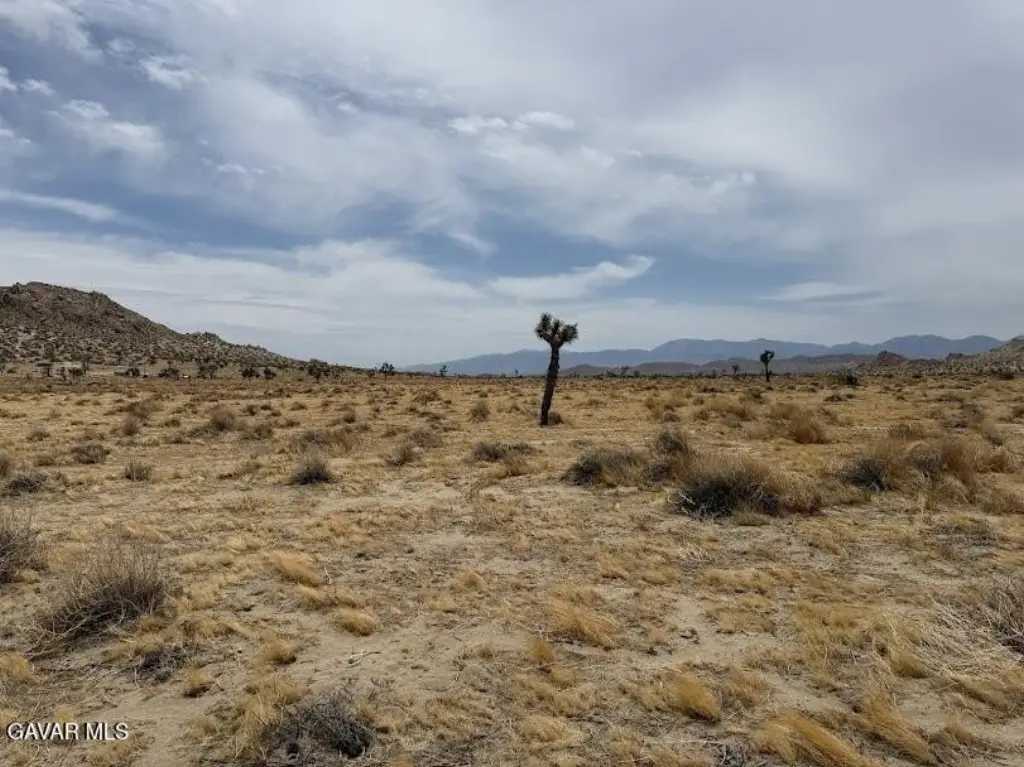 Picture 27