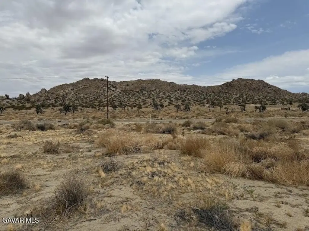 Picture 12