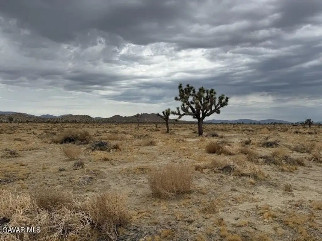 Picture 30