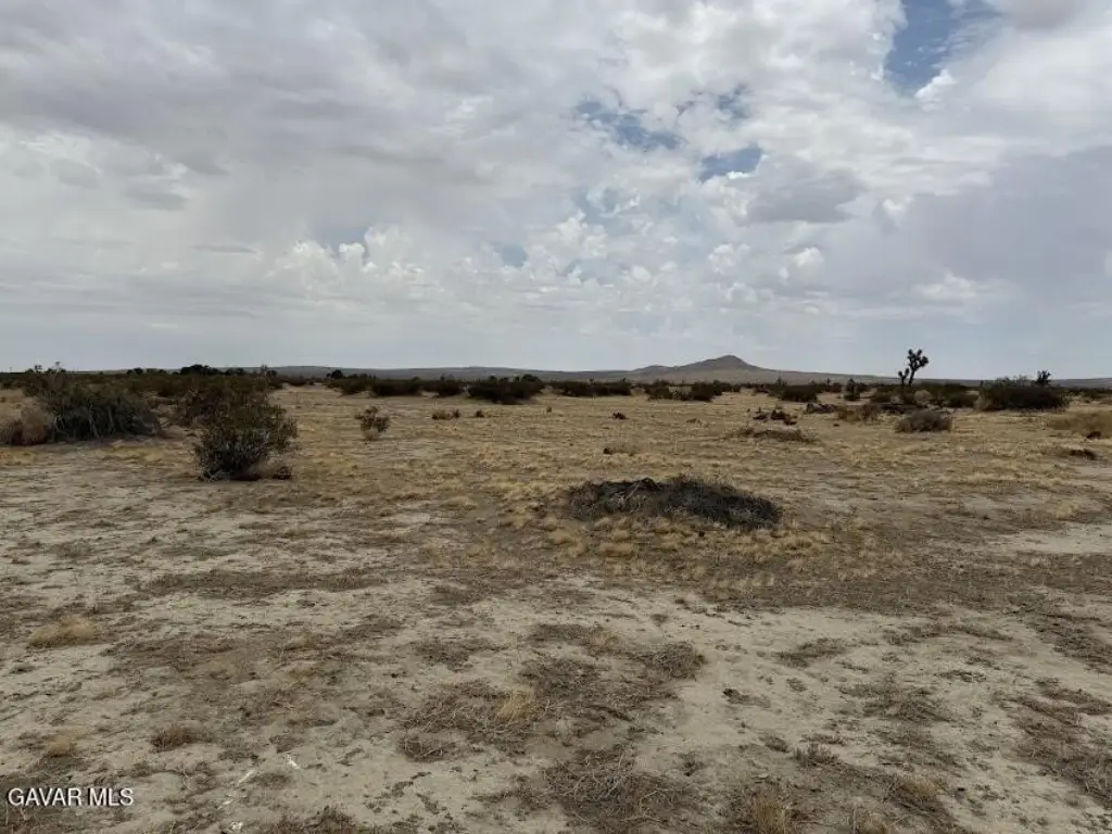 Picture 37