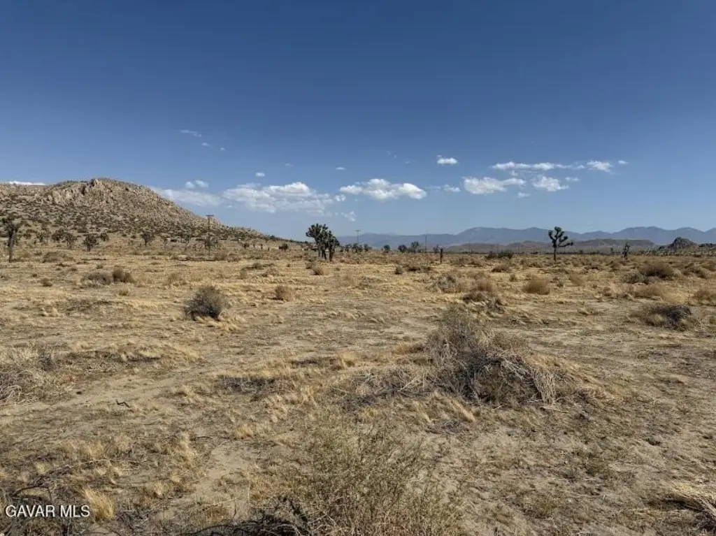 Picture 23