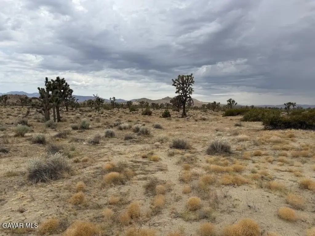 Picture 51
