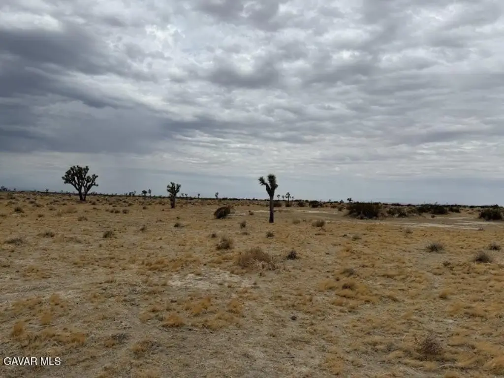 Picture 31