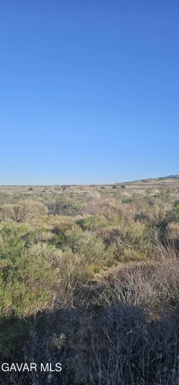 Picture 8
