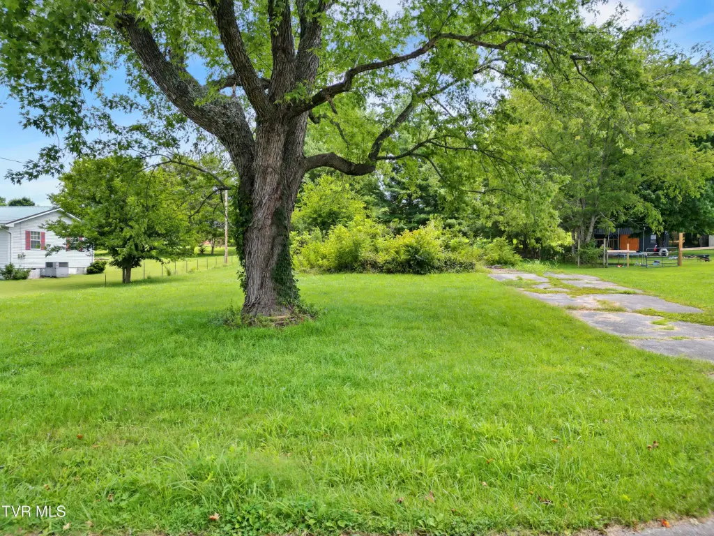 Picture 7