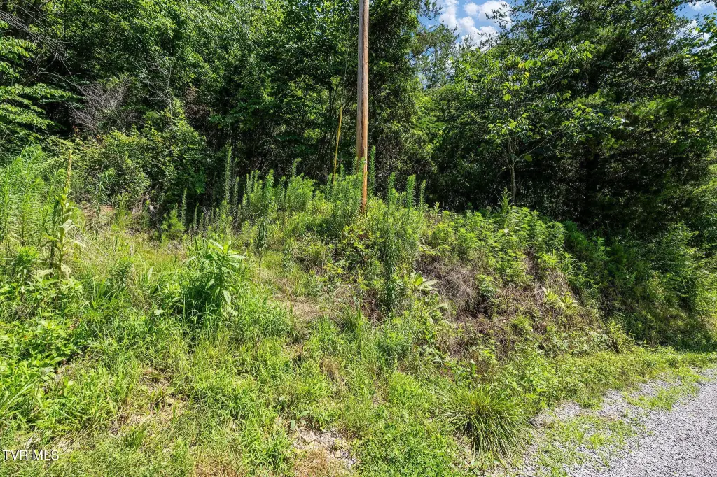 Picture 20