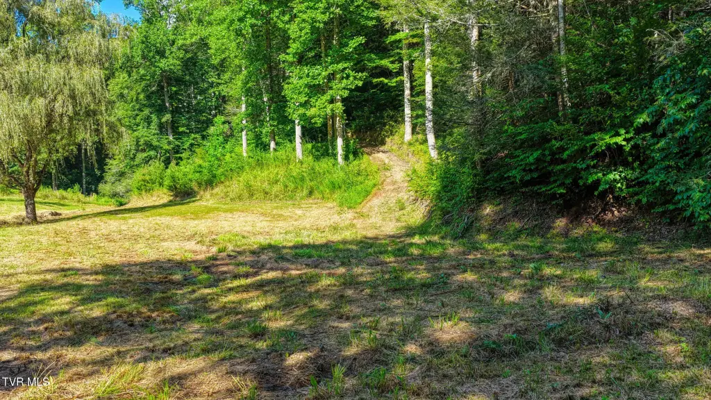 Picture 18