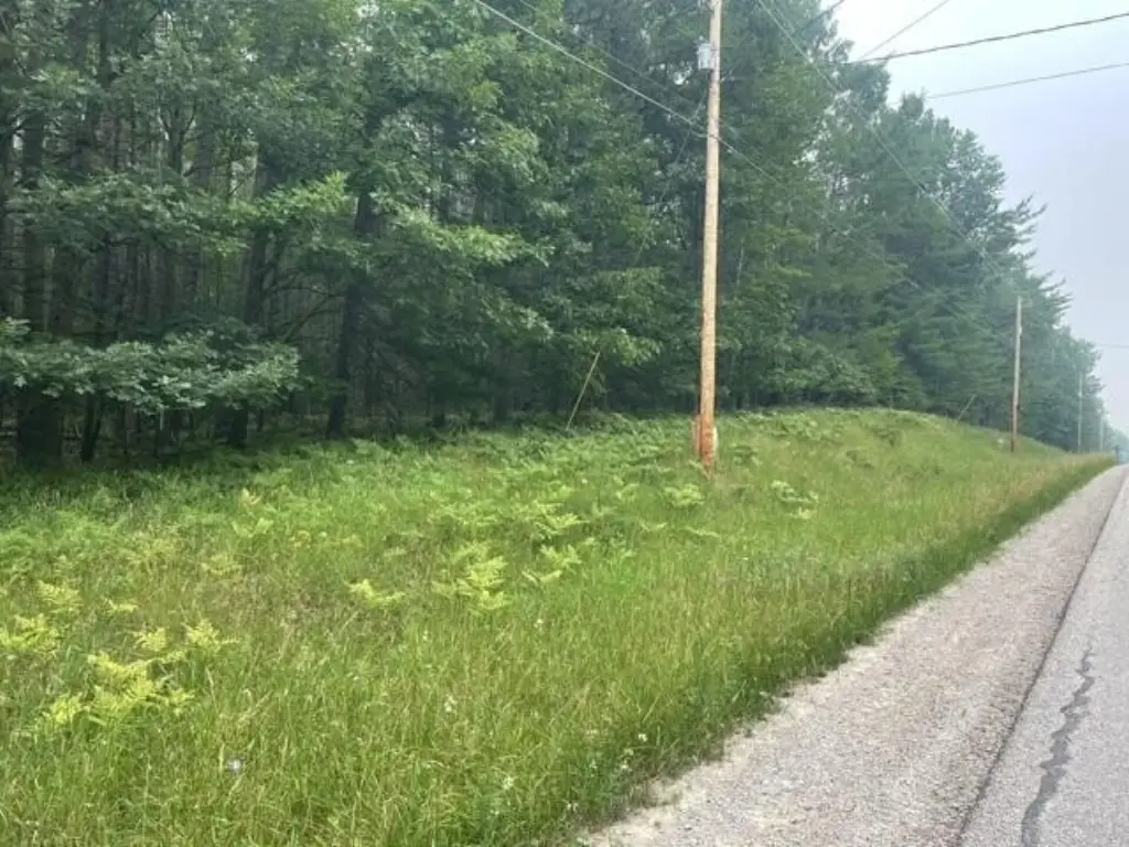 Picture 4