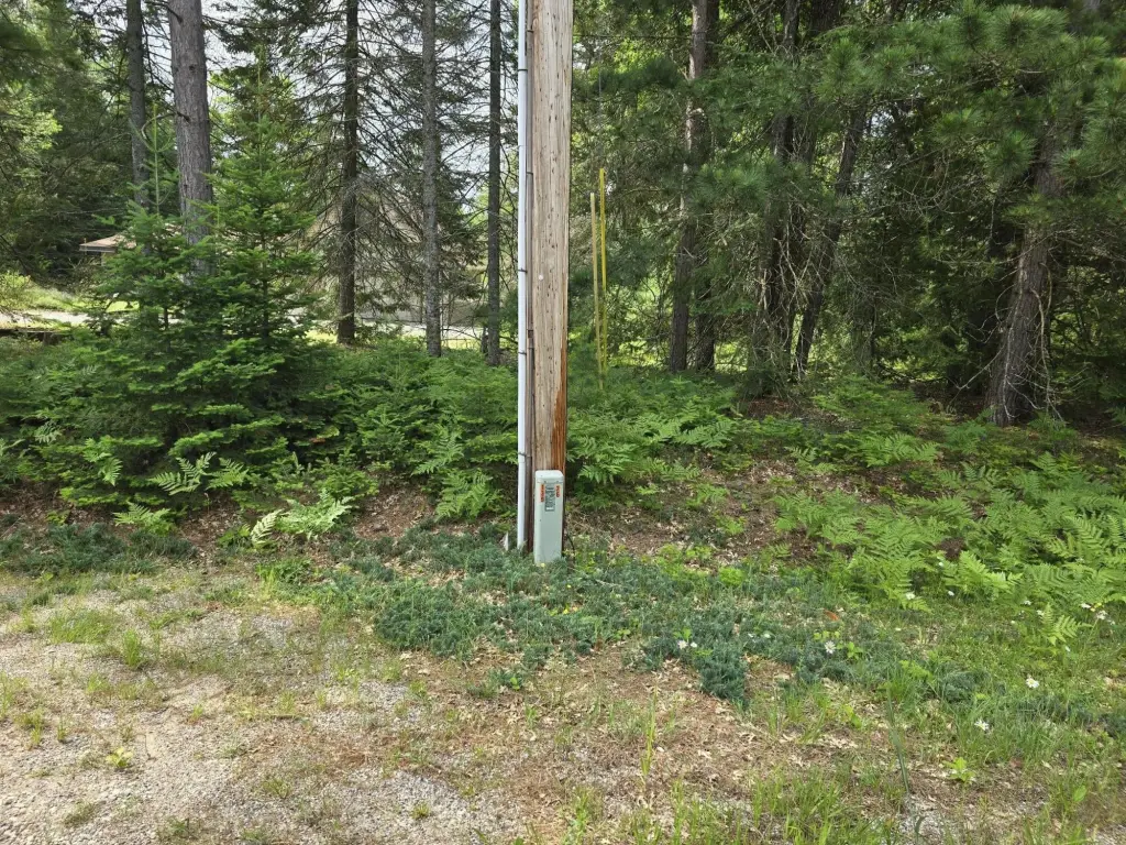 Picture 5