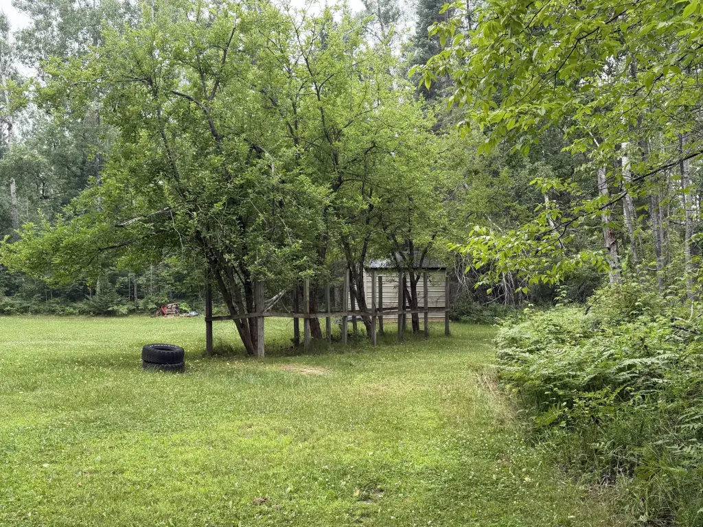Picture 5