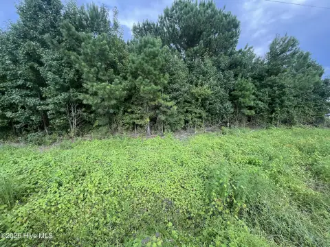 Commercial Land