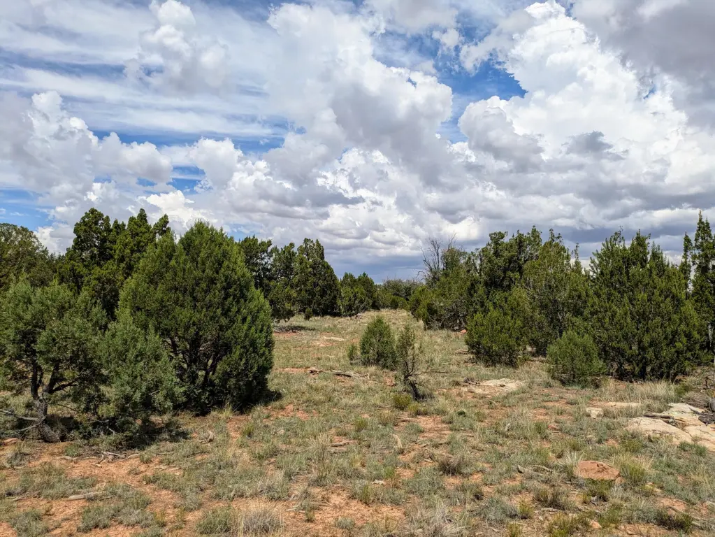 Picture 3