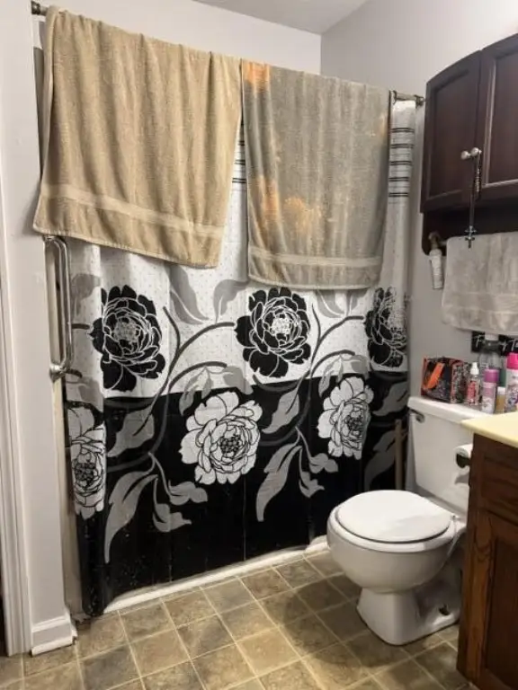 Picture 19