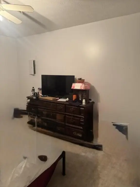 Picture 17